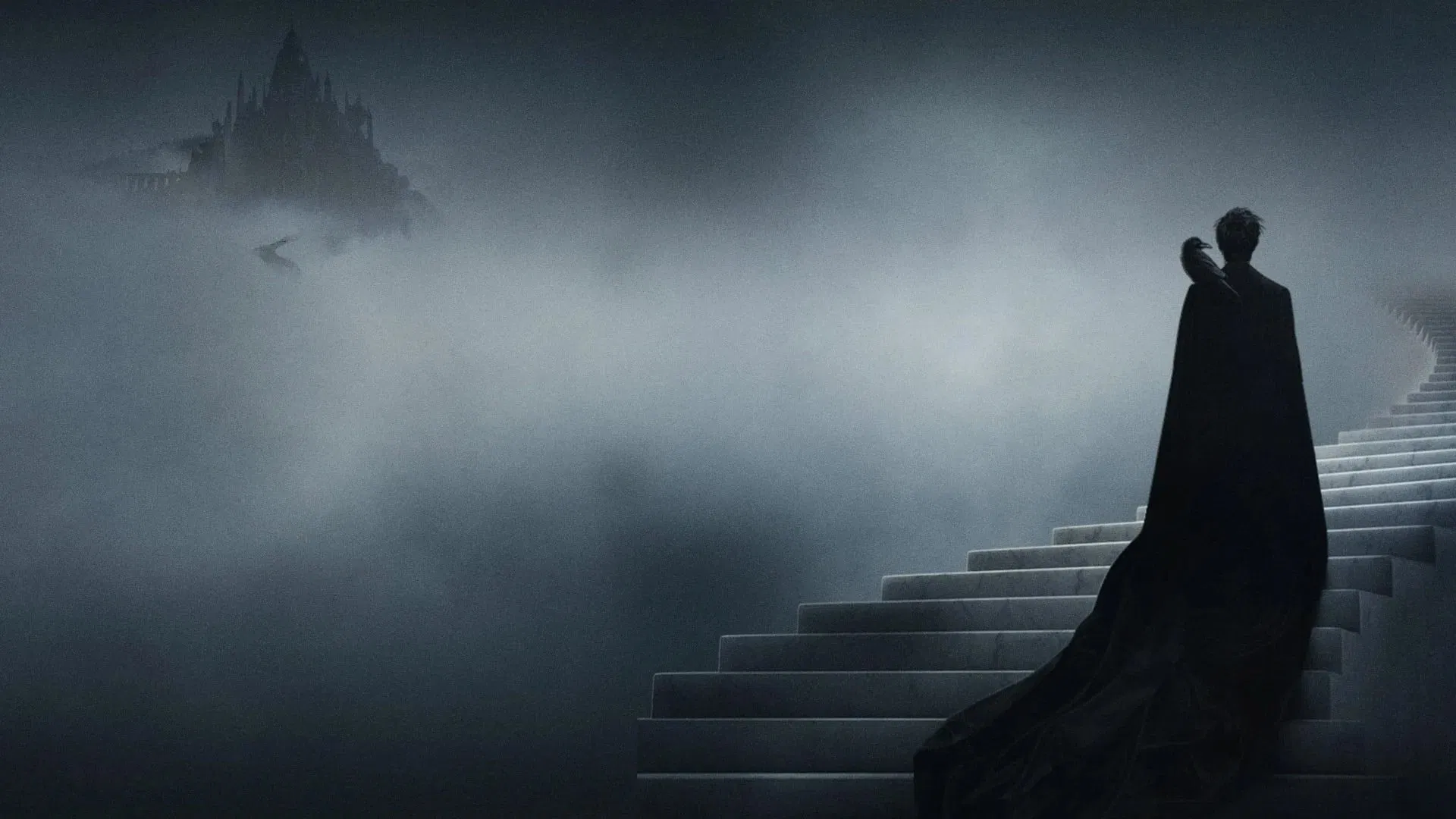 Backdrop poster for undefined