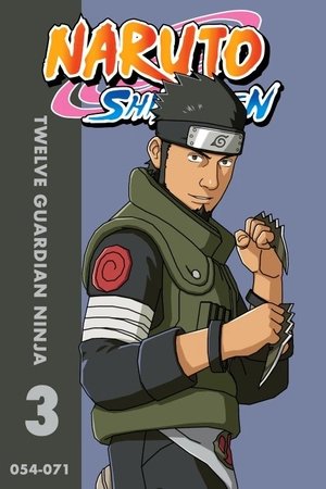 Poster for Naruto Shippūden: S3 • Twelve Guardian Ninja