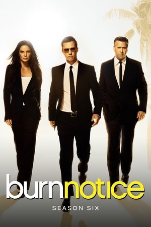 Poster for Burn Notice: Season 6