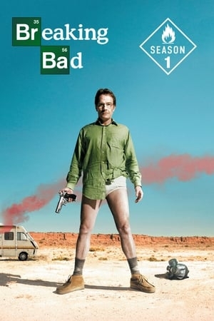 Poster for Breaking Bad: Season 1