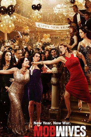 Poster for Mob Wives: Season 2