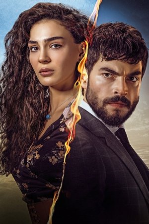 Poster for Hercai: Season 2