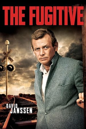 Poster for The Fugitive: Season 3