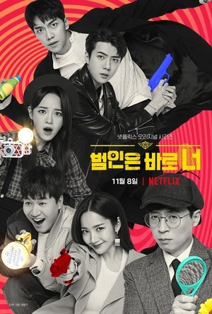 Poster for Busted!: Season 2