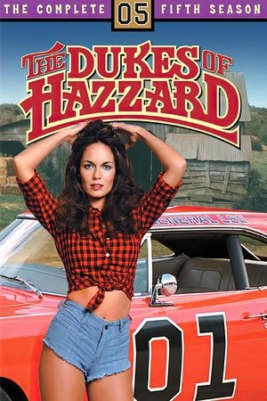 Poster for The Dukes of Hazzard: Season 5