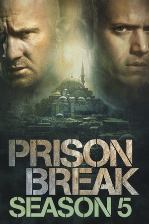 Poster for Prison Break: Resurrection