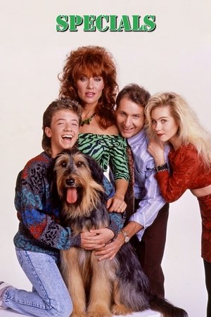 Poster for Married... with Children: Specials