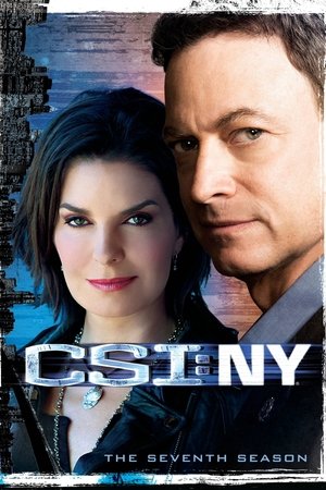Poster for CSI: NY: Season 7