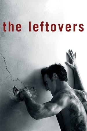 Poster for The Leftovers: Season 1
