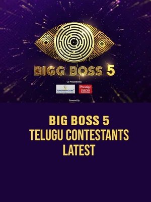 Poster for Bigg Boss Telugu: Season 5