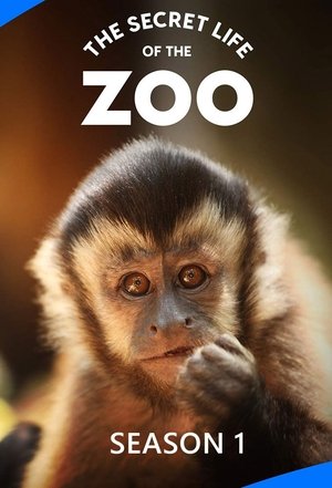 Poster for The Secret Life of the Zoo: Season 1