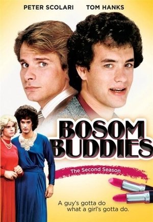 Poster for Bosom Buddies: Season 2