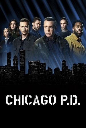Poster for Chicago P.D.: Season 5
