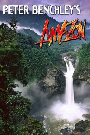 Poster for Amazon: Season 1