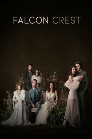 Poster for Şahin Tepesi: Season 1