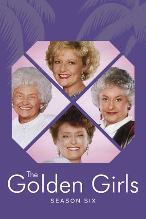 Poster for The Golden Girls: Season 6