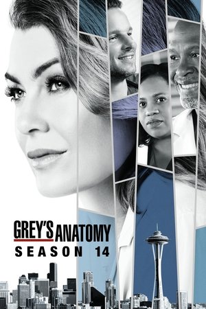 Poster for Grey's Anatomy