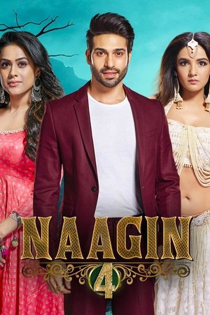 Poster for Naagin: Season 4