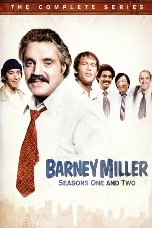 Poster for Barney Miller: Season 1