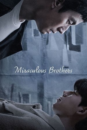 Poster for Miraculous Brothers: Season 1