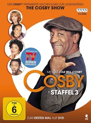 Poster for Cosby: Season 3