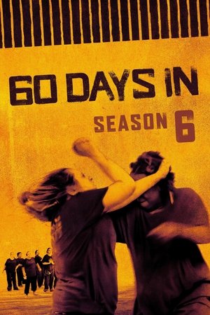 Poster for 60 Days In: Season 6