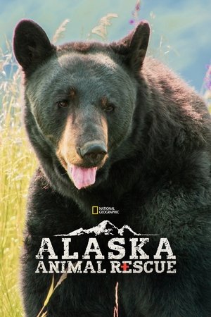 Poster for Alaska Animal Rescue: Season 2