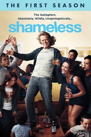 Poster for Shameless: Season 1