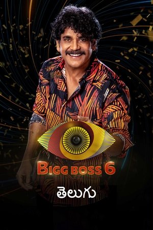 Poster for Bigg Boss Telugu: Season 6