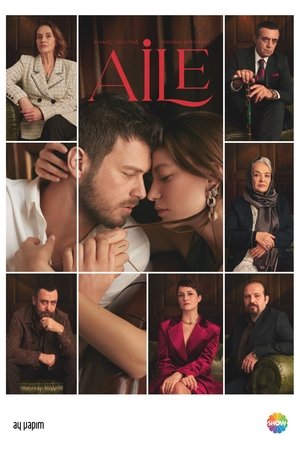 Poster for The Family: Season 1