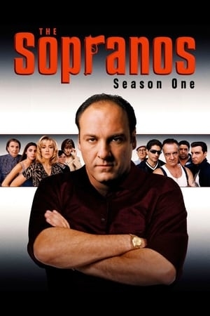 Poster for The Sopranos: Season 1