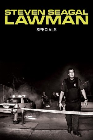 Poster for Steven Seagal: Lawman: Specials