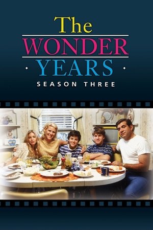 Poster for The Wonder Years: Season 3