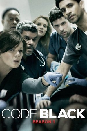 Poster for Code Black: Season 1