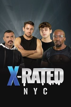 Poster for X-Rated: NYC: Season 1