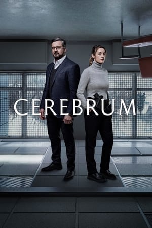 Poster for Cerebrum: Season 2