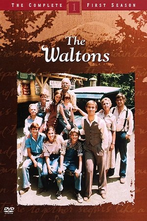 Poster for The Waltons: Season 1