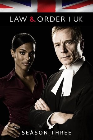 Poster for Law & Order: UK: Series 3