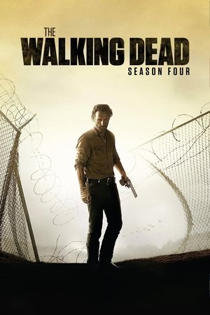 Poster for The Walking Dead: Season 4