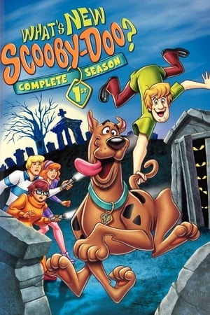 Poster for What's New, Scooby-Doo?: Season 1