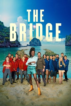 Poster for The Bridge: Race to a Fortune: Series 2