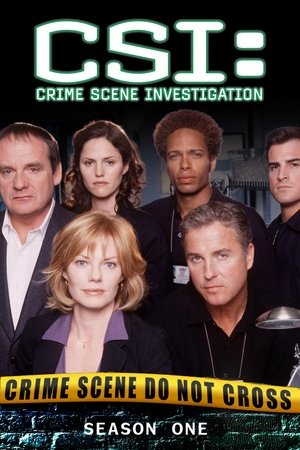 Poster for CSI: Crime Scene Investigation: Season 1