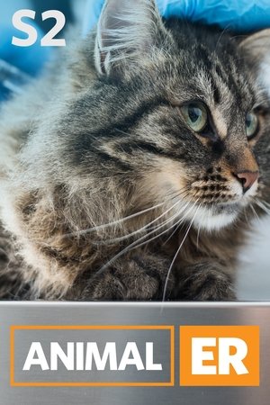 Poster for Animal ER: Season 2