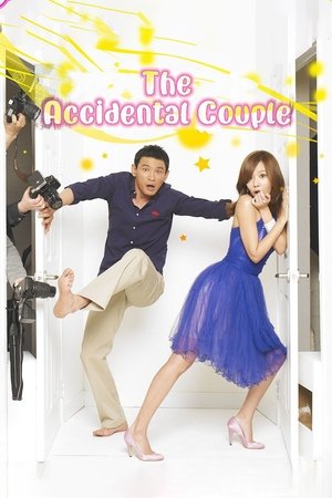 Poster for The Accidental Couple: Season 1