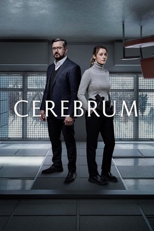 Poster for Cerebrum: Season 3