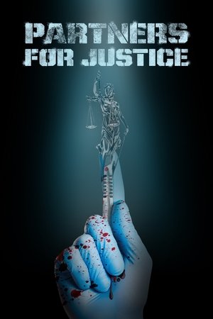 Poster for Partners for Justice: Season 1