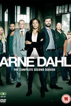 Poster for Arne Dahl: Season 2