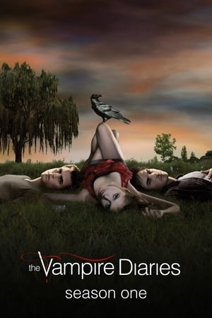 Poster for The Vampire Diaries: Season 1
