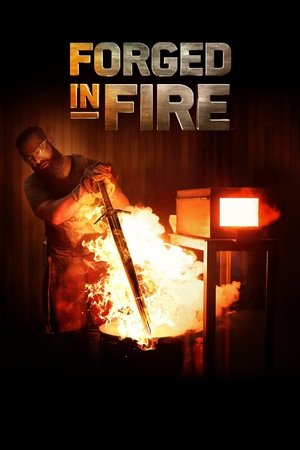 Poster for Forged in Fire: Season 6