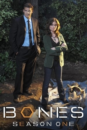 Poster for Bones: Season 1